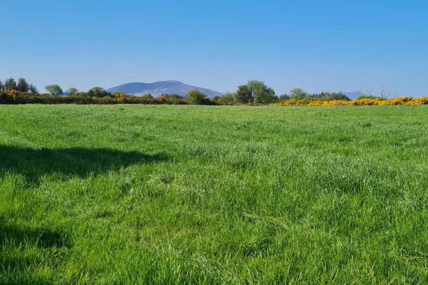 Upper Tullig Beg, Killorglin, Co. Kerry — photo 1