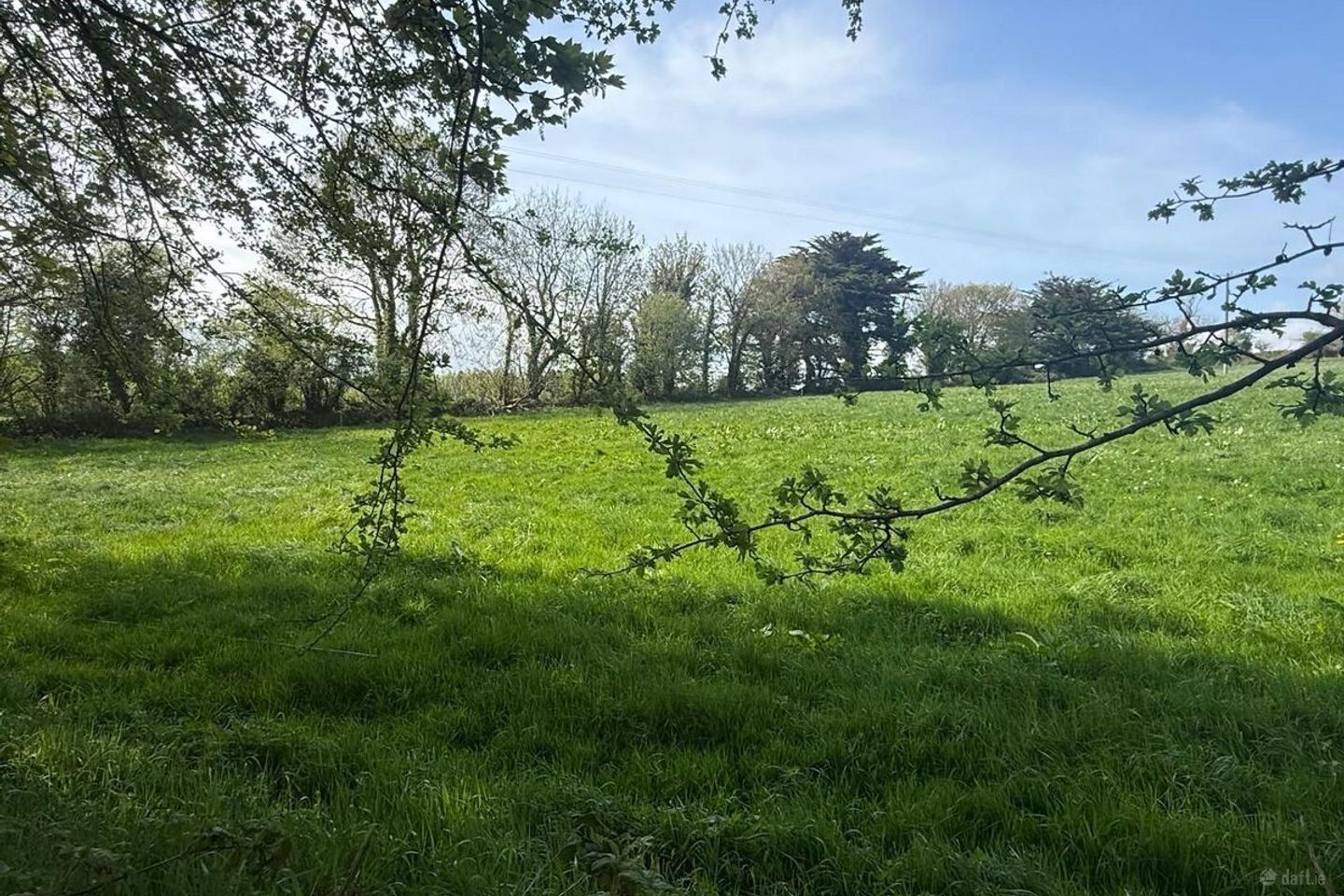 Old Park, Bandon, Bandon,, Co. Cork — photo 1