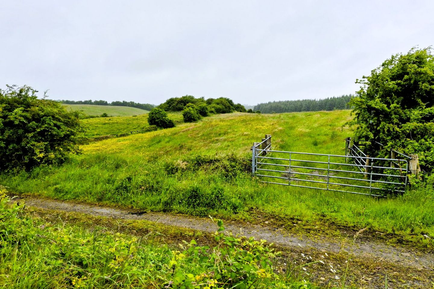 Liscottle, Swinford, Co. Mayo — photo 1