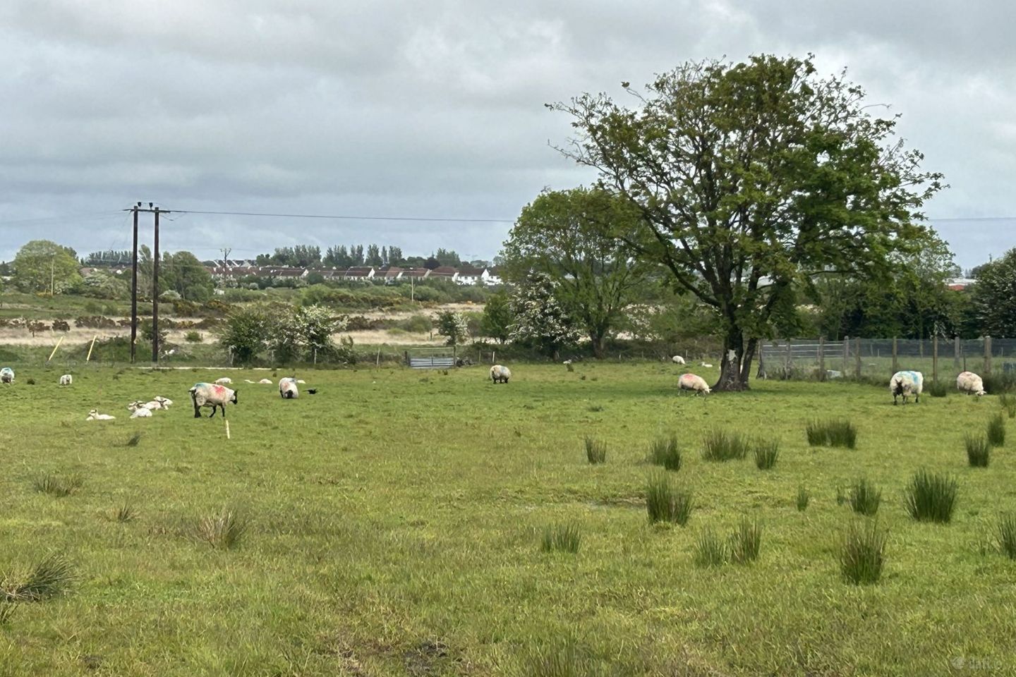 Cloonfush, Tuam, Co. Galway — photo 1