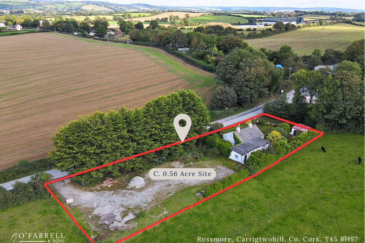 Rossmore, Carrigtwohill, Carrigtwohill, Co. Cork, T45TW97 — photo 1
