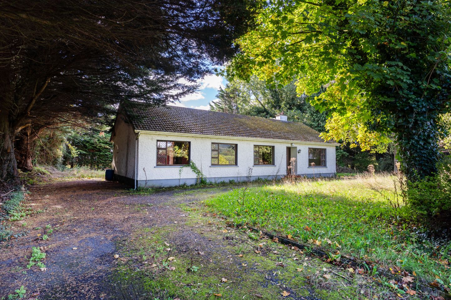 Ballintubbert, Athy, Co. Kildare, R14EW88 — photo 1