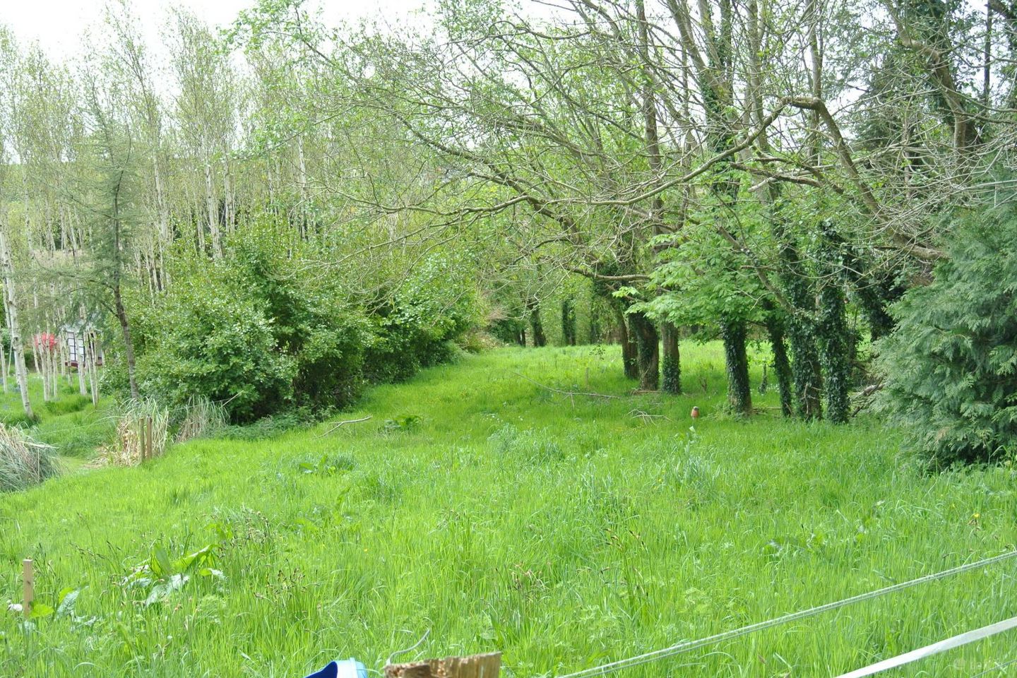 Castletreasure, Douglas, Rathmacullig, Co. Cork, T12TDC9 — photo 1
