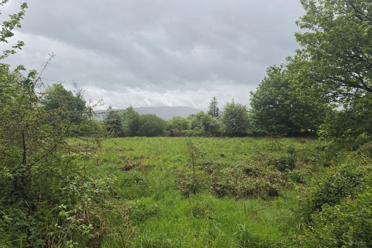 Ardnageeha, Cullen, Co. Cork — photo 1