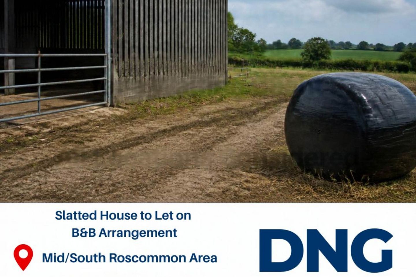 Slatted House To Let On A B&B Arrangement, Roscommon, Co. Roscommon — photo 1