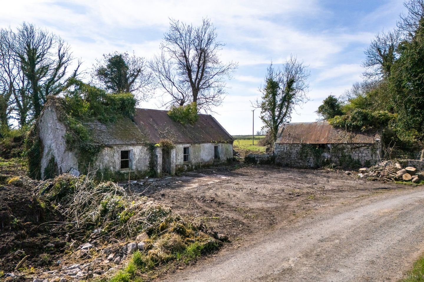 Corramagrine, Whitehall, Tarmonbarry, Co. Roscommon, N39XXXX — photo 1