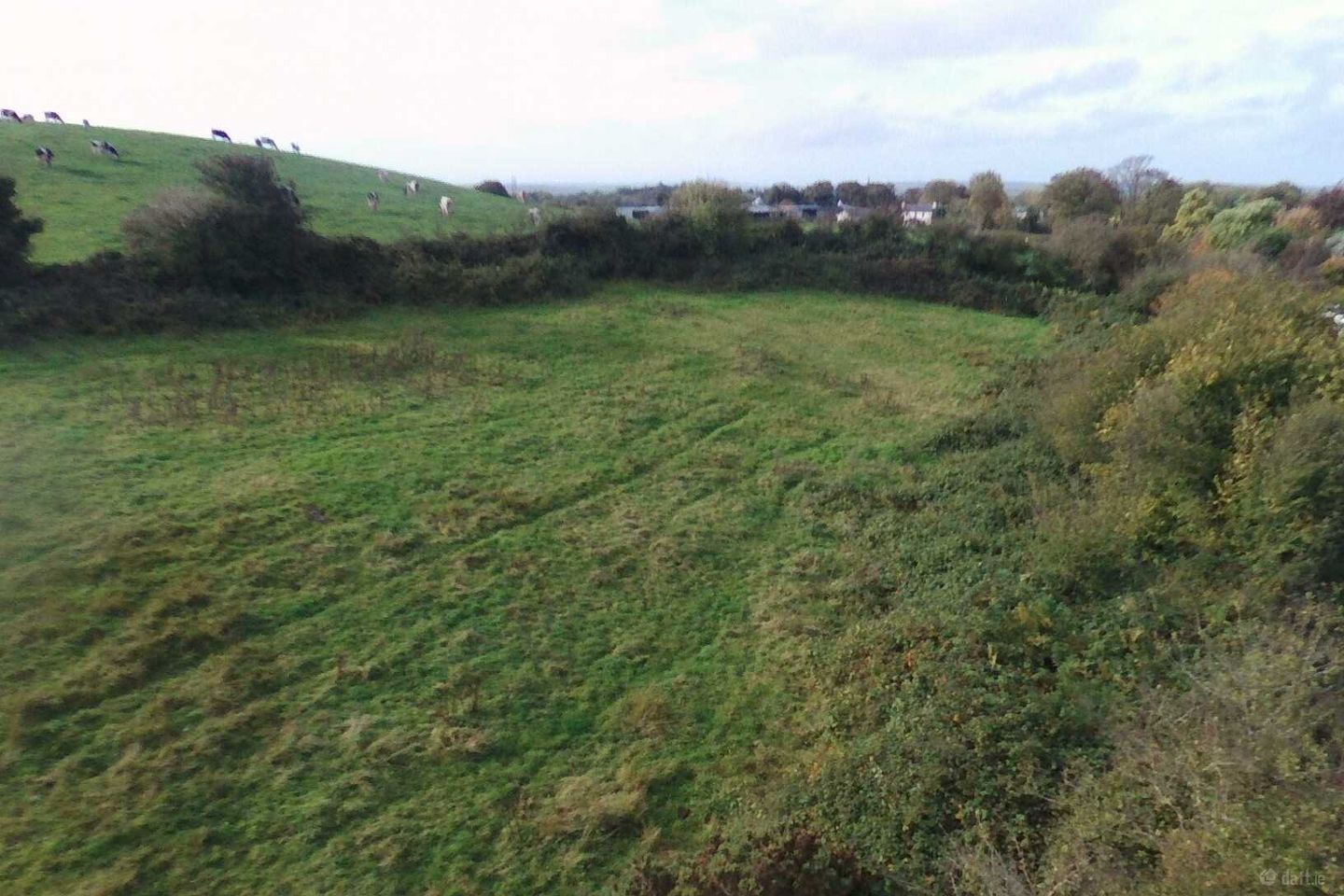 Creggaun, Knockanean, Ennis, Co. Clare — photo 1