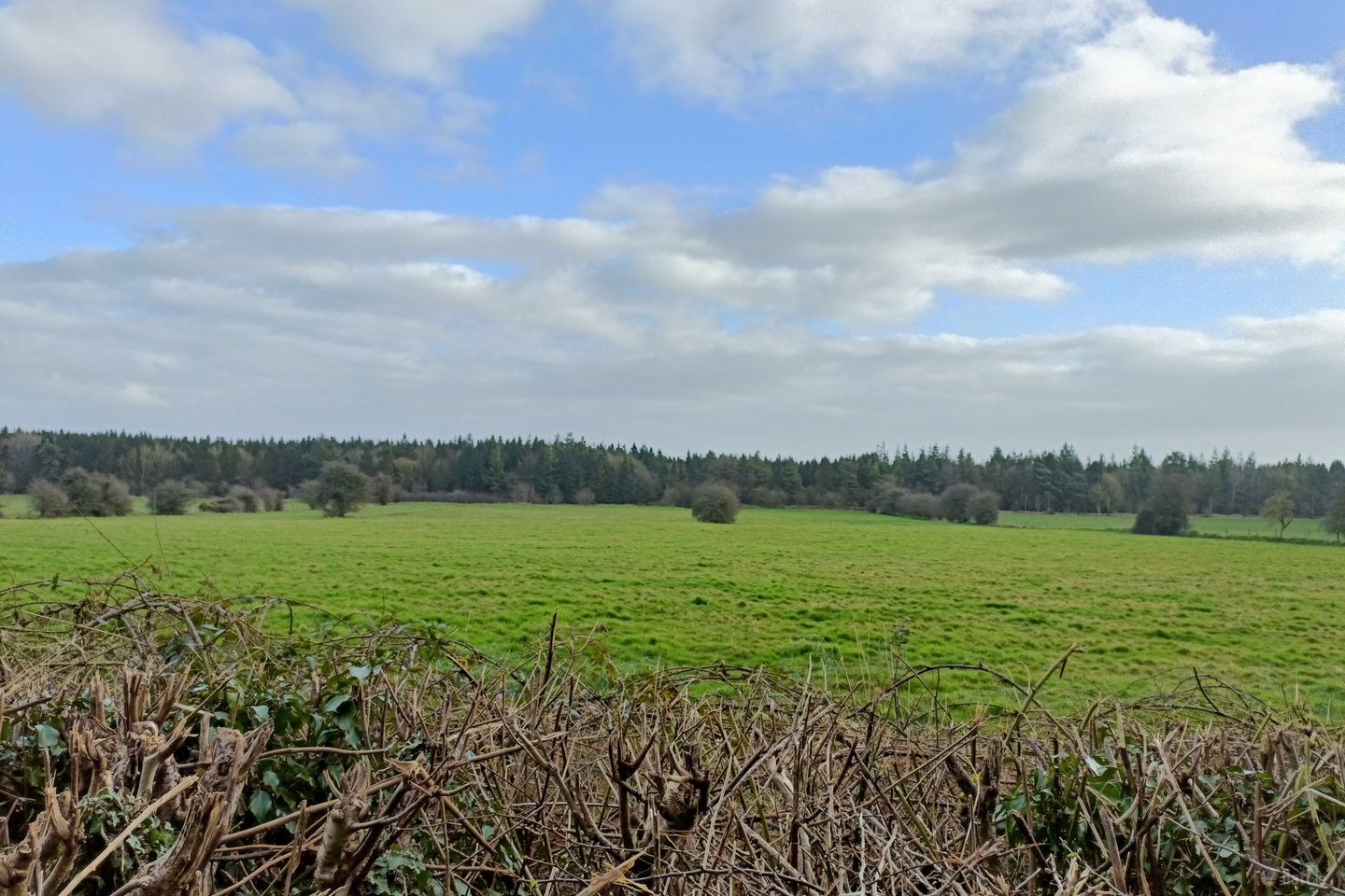 Carrick, Carbury, Co. Kildare — photo 1