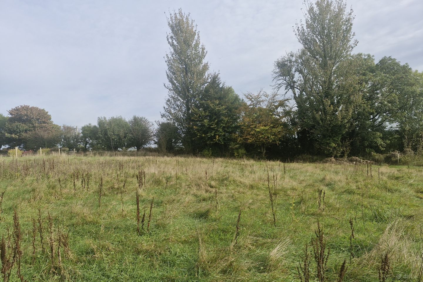 Inchacarran, Buckstown, Mullinavat, Co. Kilkenny — photo 1
