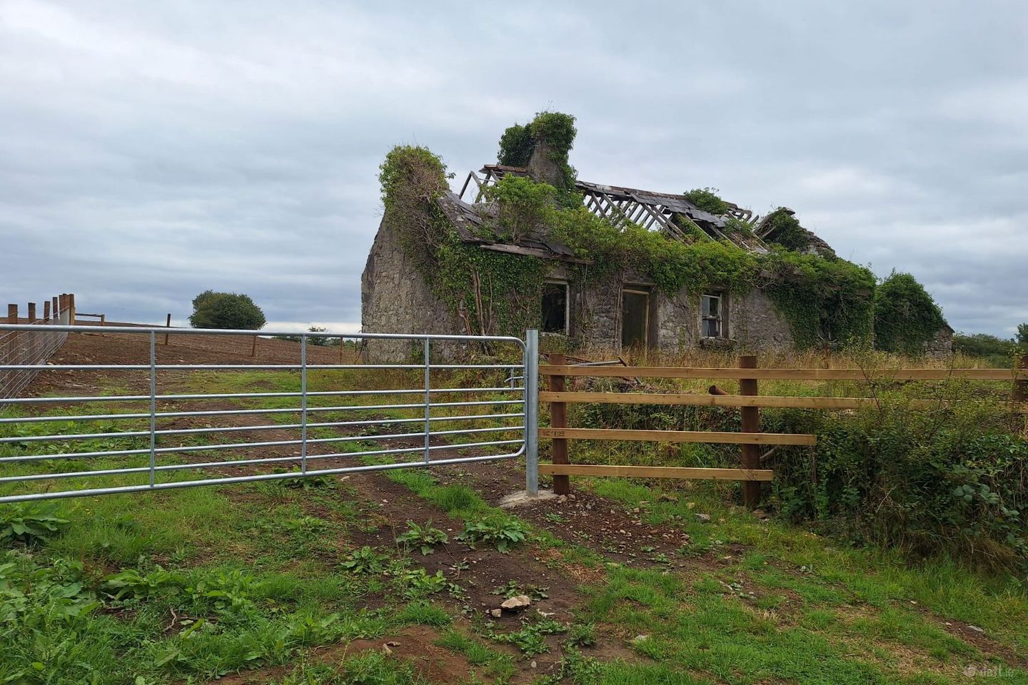 Knockakil Mayo Abbey , Claremorris, Co. Mayo — photo 1