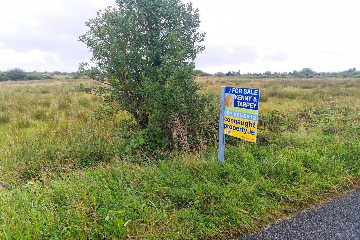 Srah Upper, Carracastle, Co. Mayo — photo 1