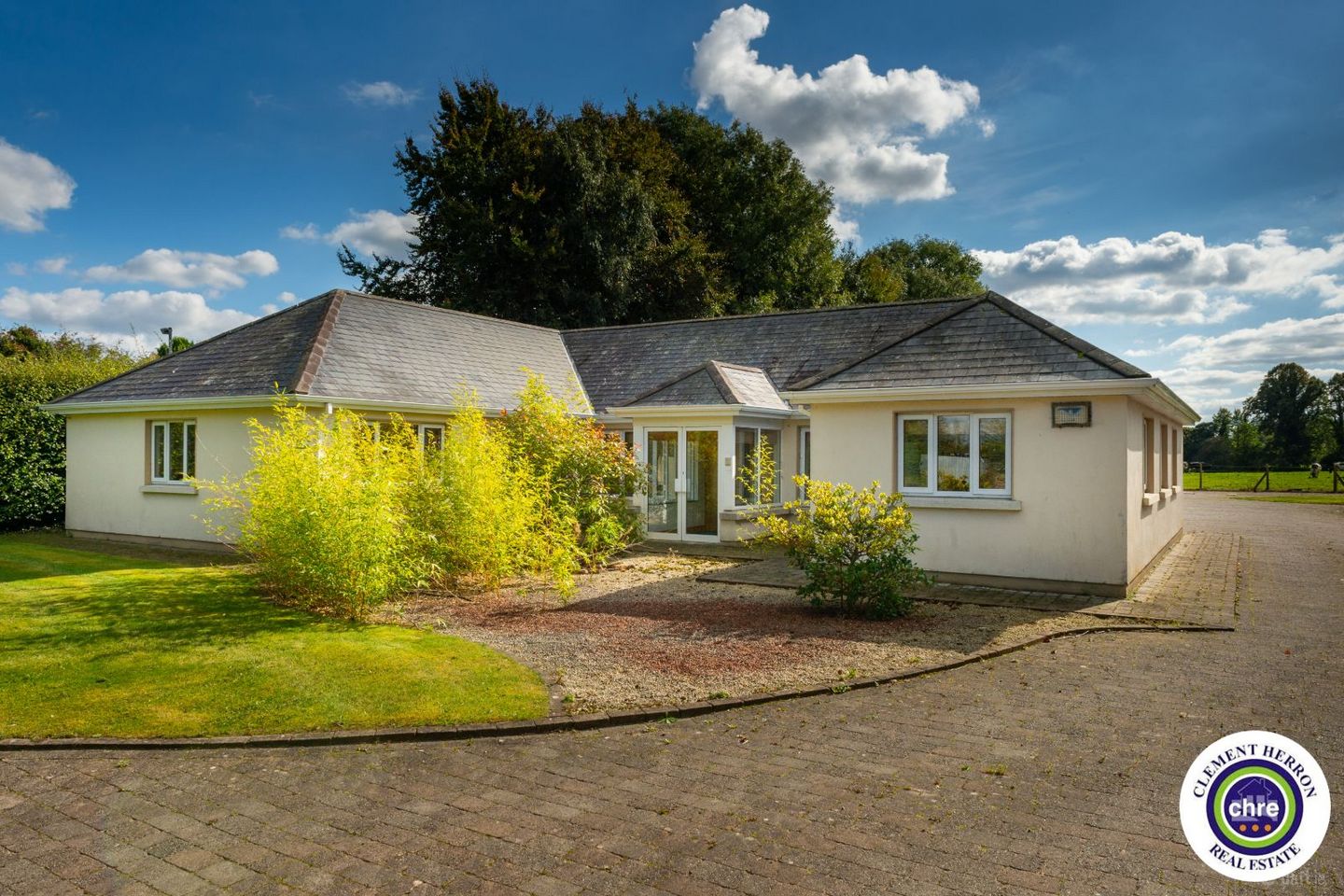 Shandra, Portarlington, Co. Offaly, R32P49H — photo 1