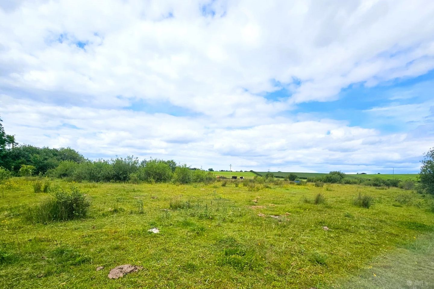Townparks, Ardee, Ardee, Co. Louth — photo 1