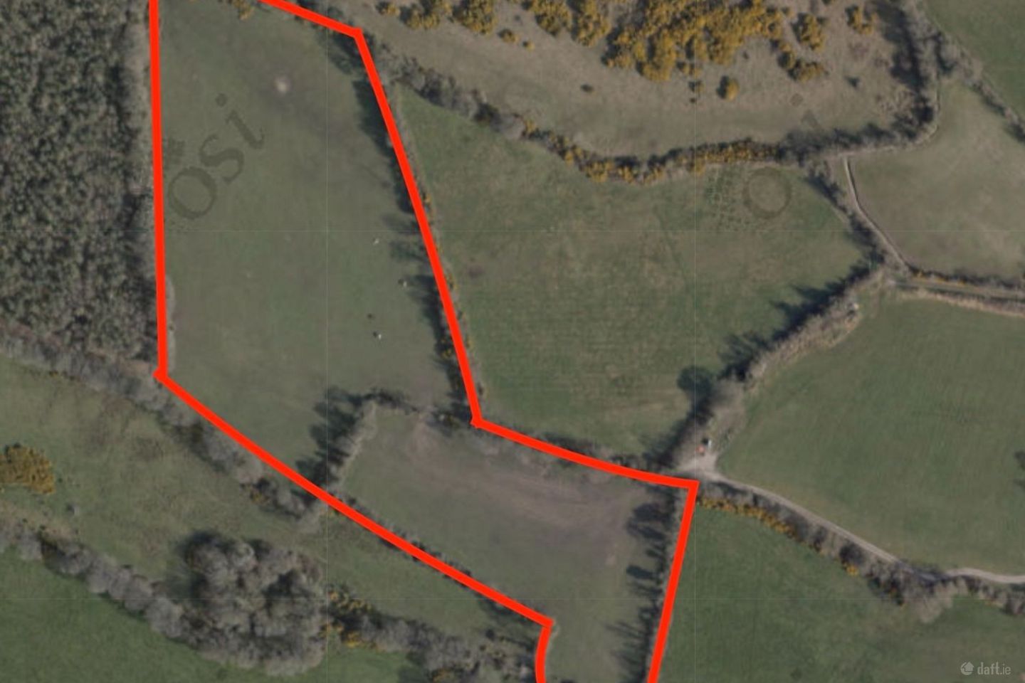Clashacrow, Freshford Co. Kilkenny, Freshford, Co. Kilkenny — photo 1