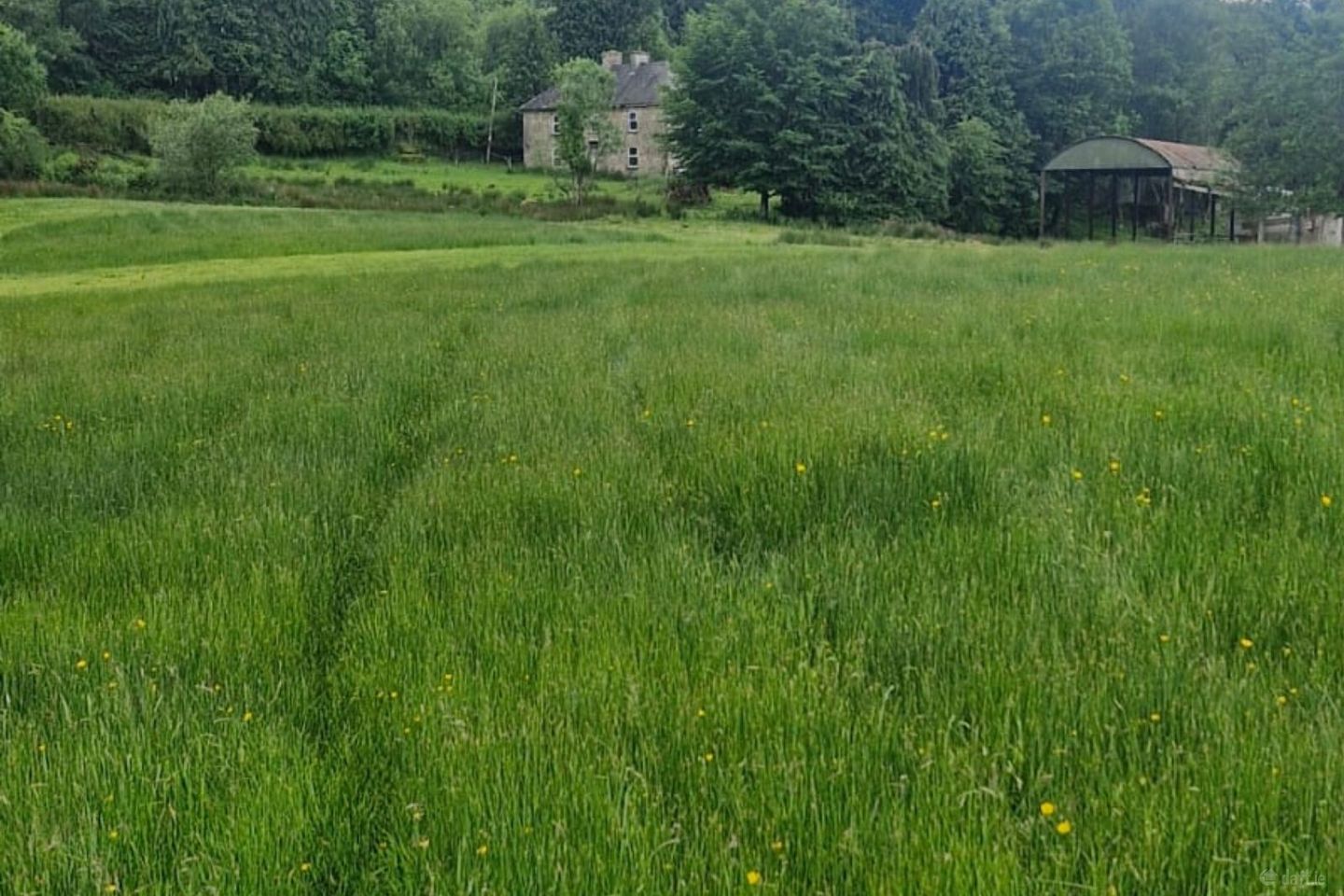 Leaghort House, Leaghort, Caher, Kilclaran, Co. Clare, V94F8EX — photo 1