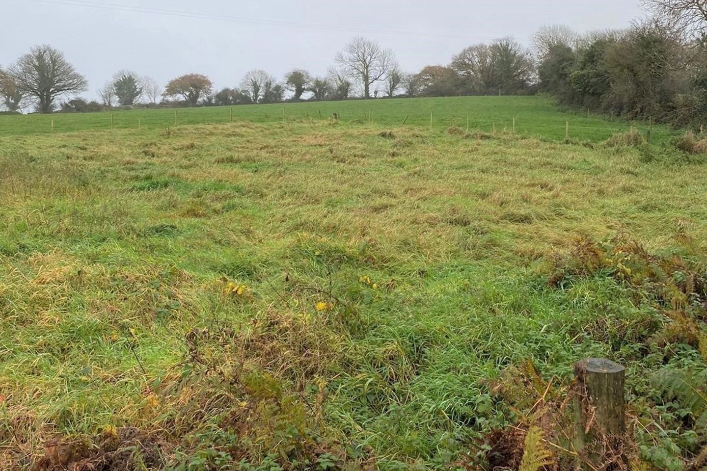 Dromahane, Mallow, Co. Cork — photo 1