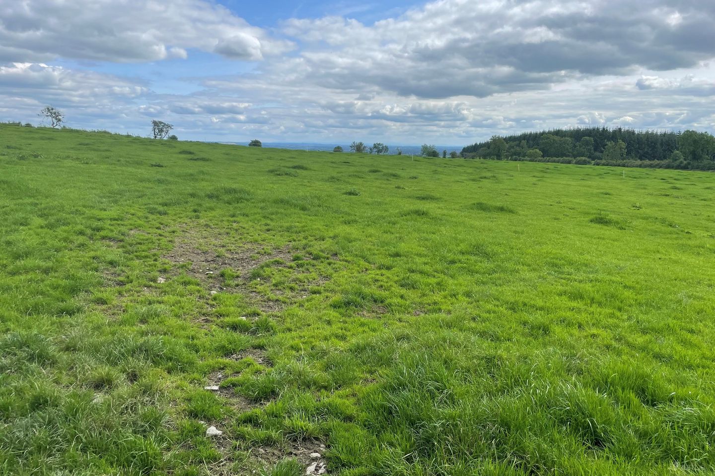 00, Stradone, Co. Cavan — photo 1