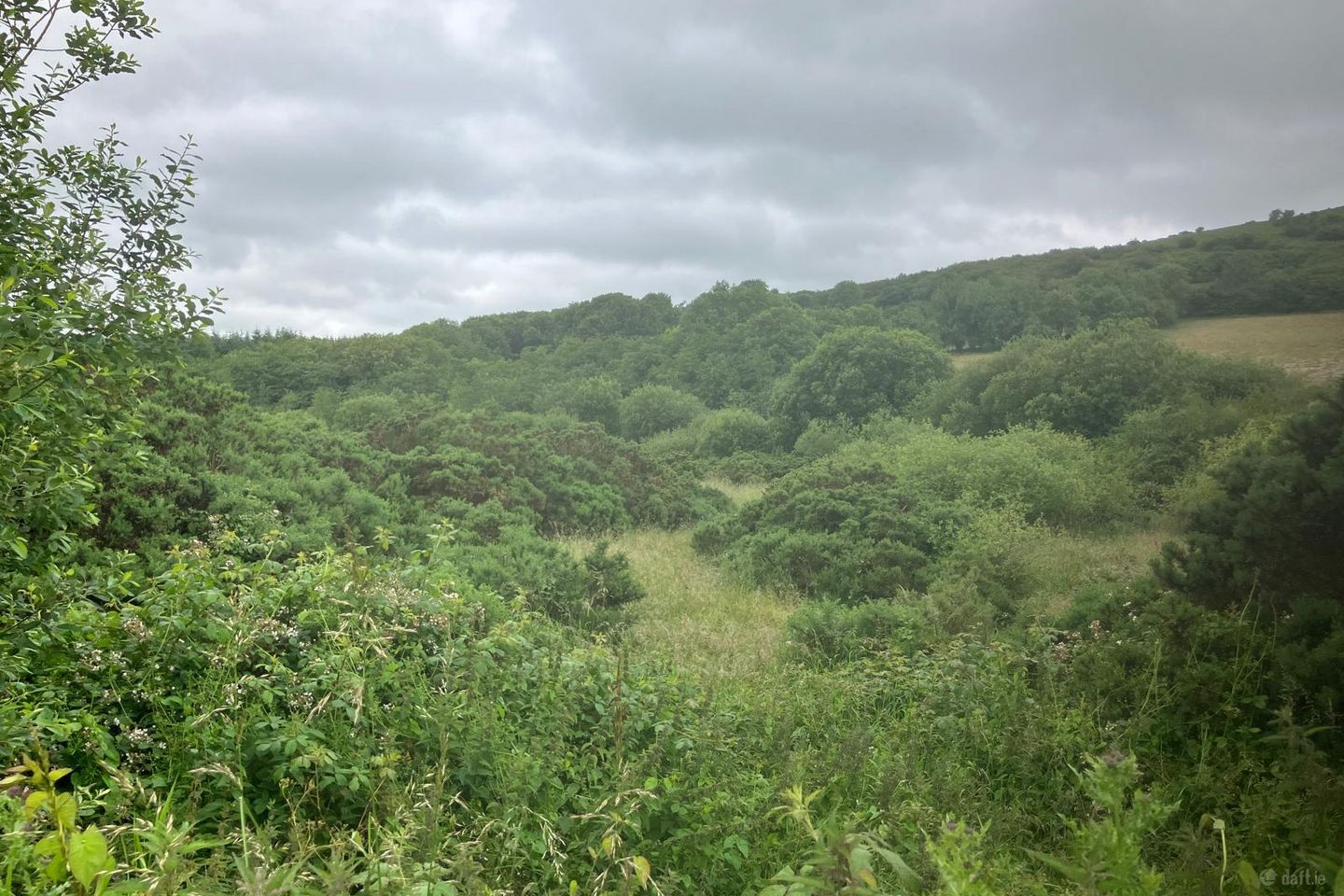 6.94 Acres At Ballysallagh, Hacketstown, Co. Carlow, R93E5Y9 — photo 1