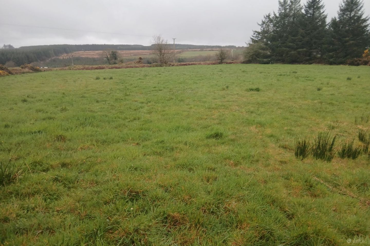 Renasup Gneeveguilla Rathmore Co Kerry., Gneevguilla, Co. Kerry — photo 1