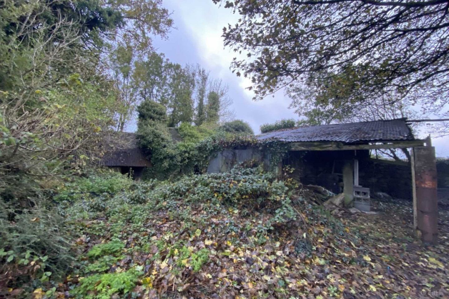 Ballysallagh (Derelict Res. & C. 3 Acres), Hacketstown, Co. Carlow — photo 1