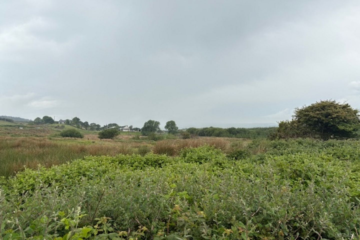 Ballybreen, Kilfenora, Kilfenora, Co. Clare, V95K0D8 — photo 1