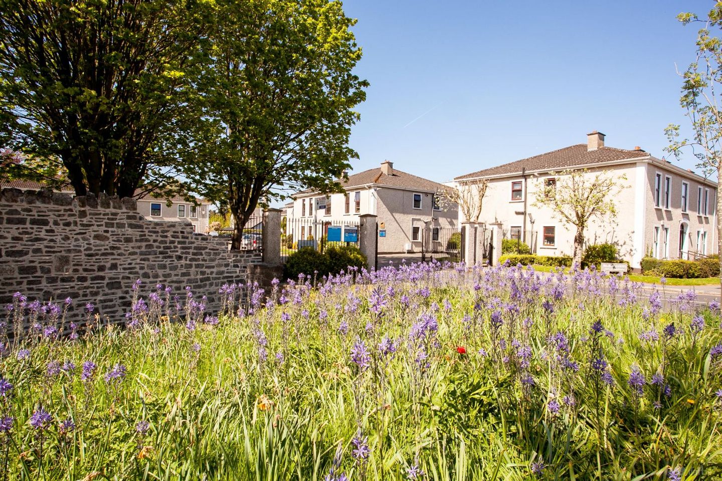 Apartment 8, Manor Court, Straffan Road, Maynooth, Maynooth, Co. Kildare, W23Y709 — photo 1