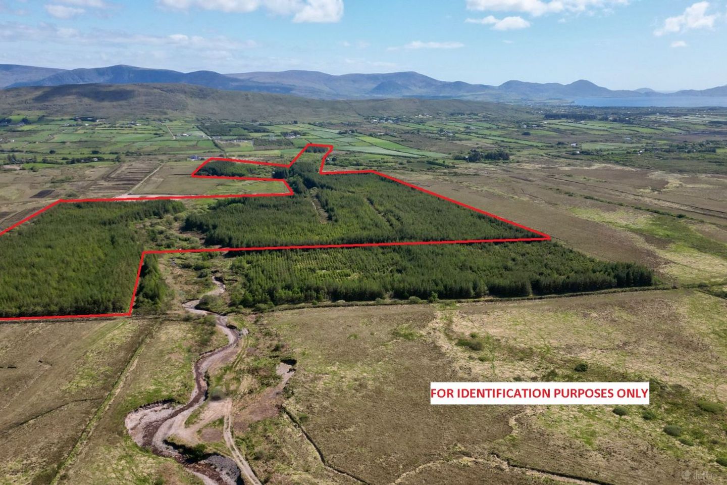c. 81 Acres Forestry, Maulnahone, Cahersiveen, Co. Kerry — photo 1