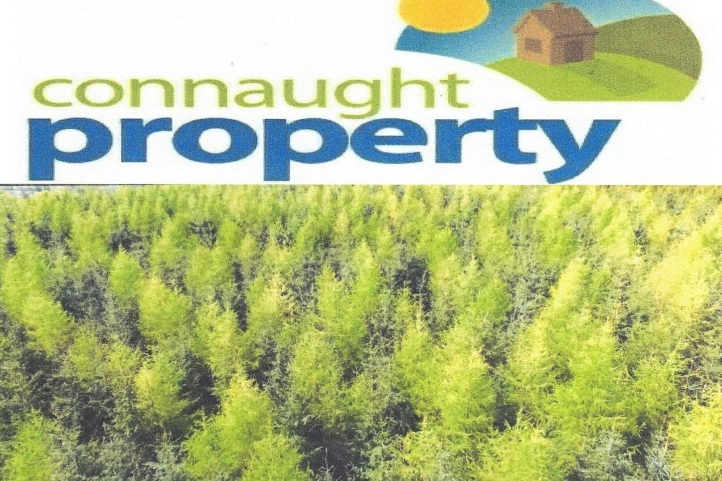 Cloonagh, Loughglynn, Co. Roscommon — photo 1