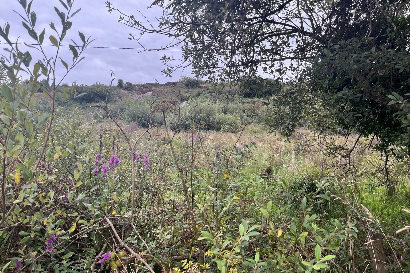 Ref 1081 - Site at Reen, Brackaharagh, Caherdaniel, Co. Kerry — photo 1