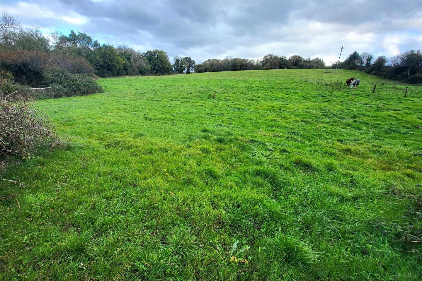 Cloonoolia South, Mountshannon, Co. Clare — photo 1