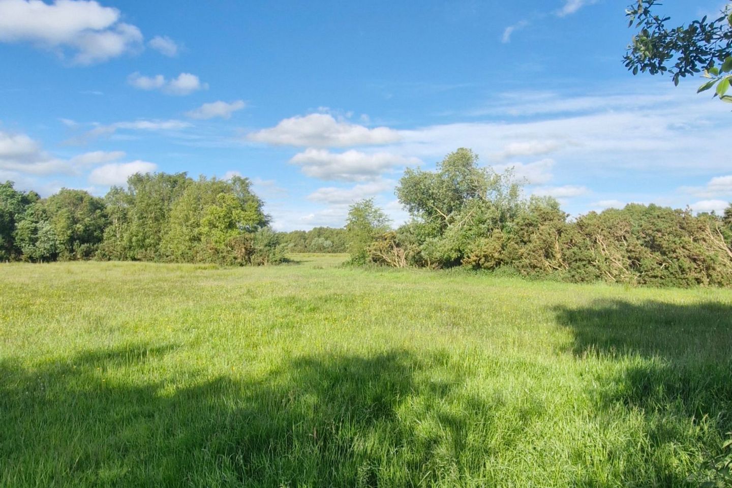 Ballyoughter  , Rathcabbin, Co. Tipperary, R42KN63 — photo 1