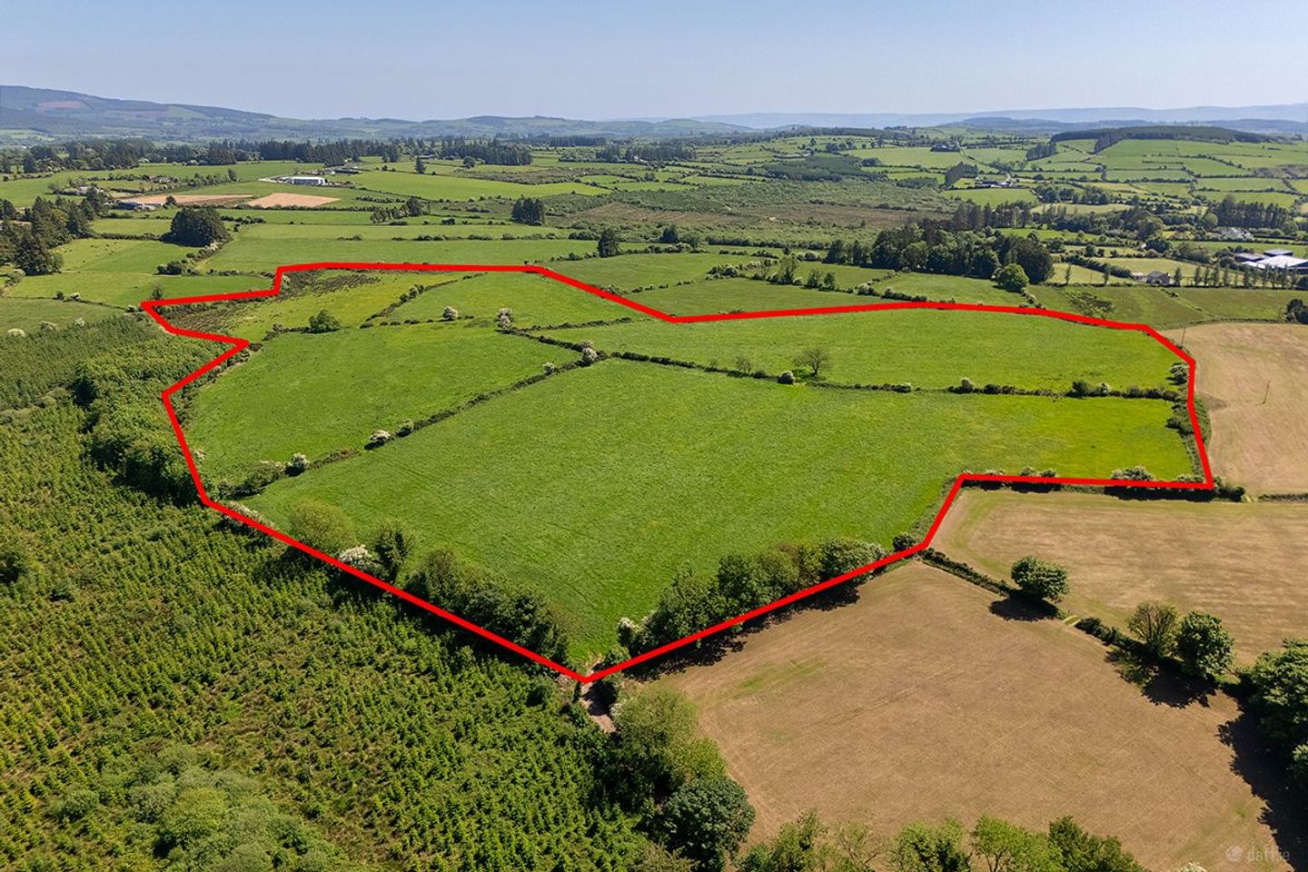Circa 40 Acres, Touraneena, Ballinamult, Co. Waterford — photo 1