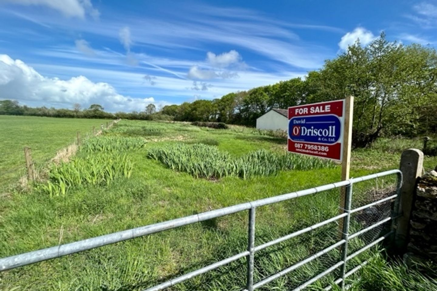 Site at Gortnaglogh, Firies, Co. Kerry — photo 1