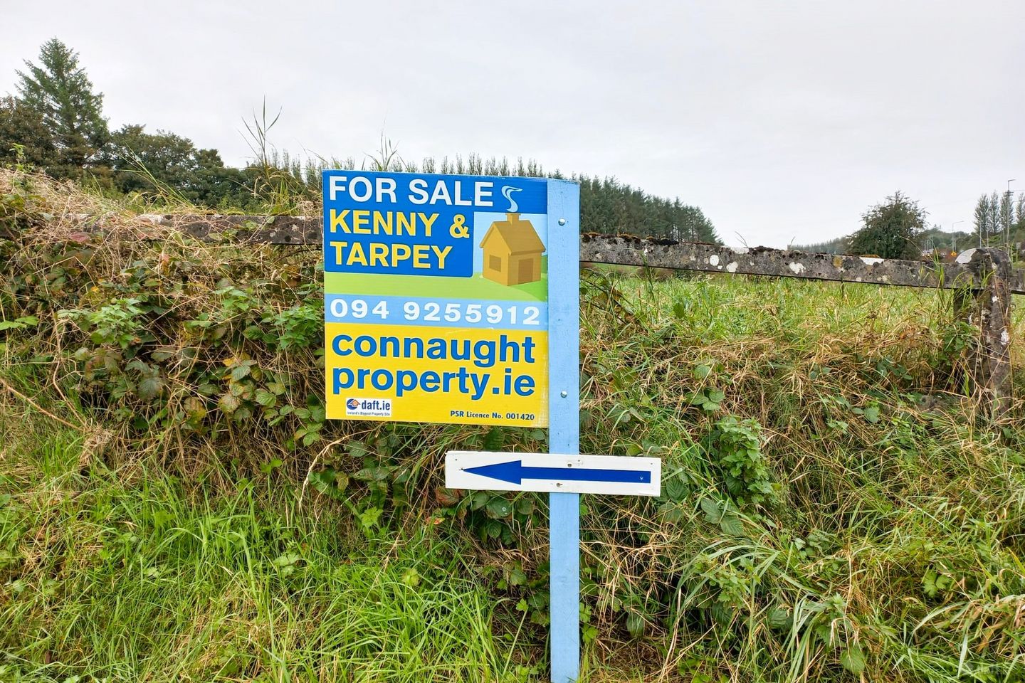 Liscosker, Kilkelly, Co. Mayo — photo 1