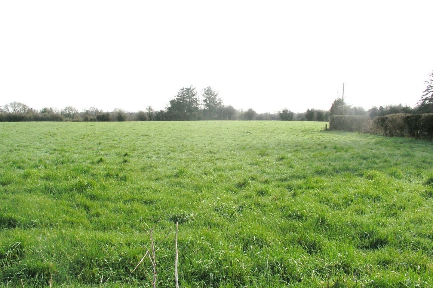 Ballagharahin, Errill, Co. Laois — photo 1