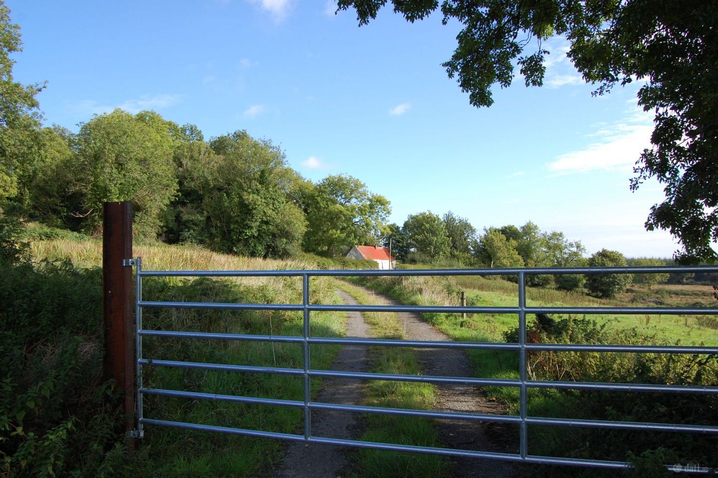 Rooska East, Carrigkerry, Carrigkerry, Co. Limerick, V94V4AV — photo 1