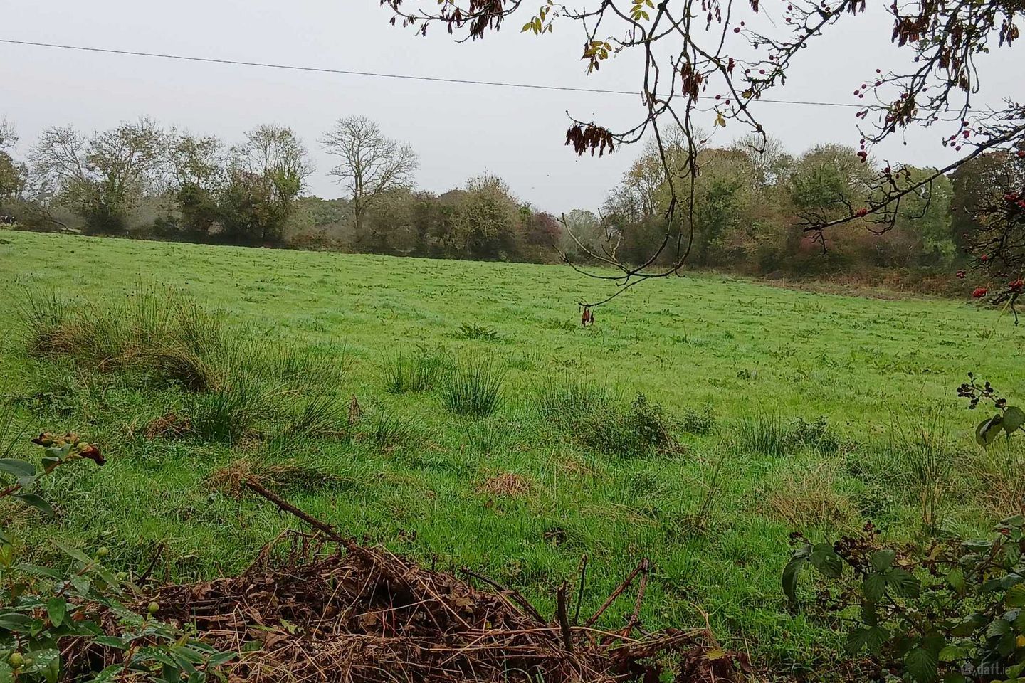 Rathmore Road, Knocknagree, Co. Cork — photo 1