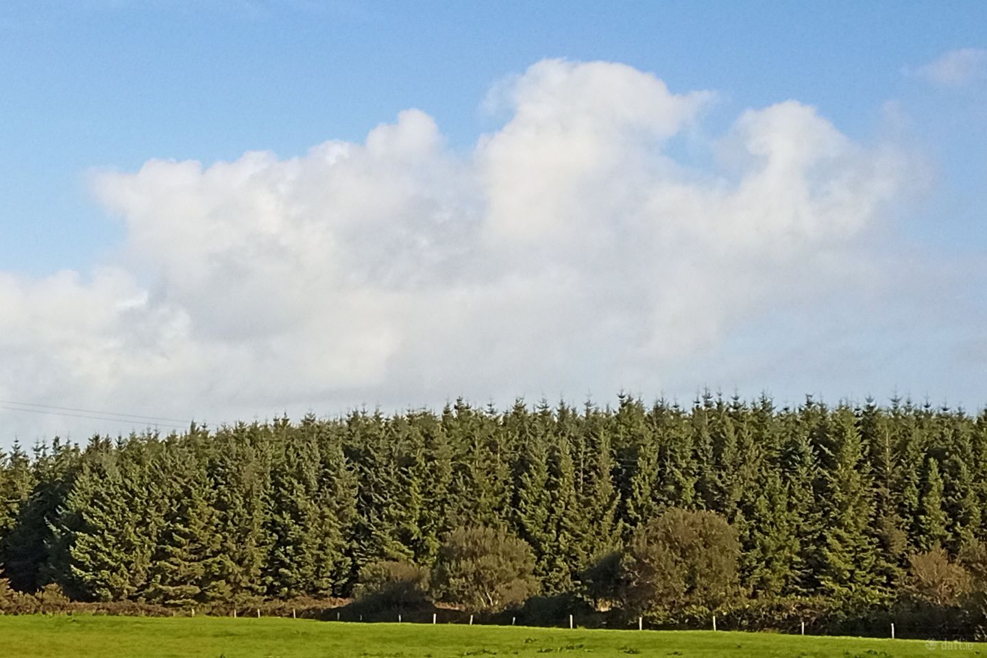 Knockerra, Cooraclare, Kilrush, Co. Clare, V15YY84 — photo 1