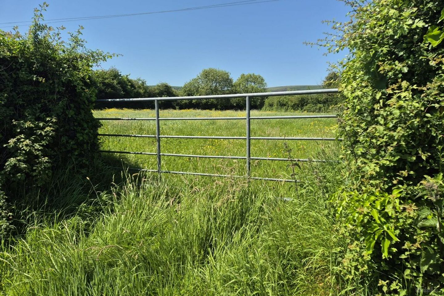Killoughteen, Newcastle West, Co. Limerick — photo 1