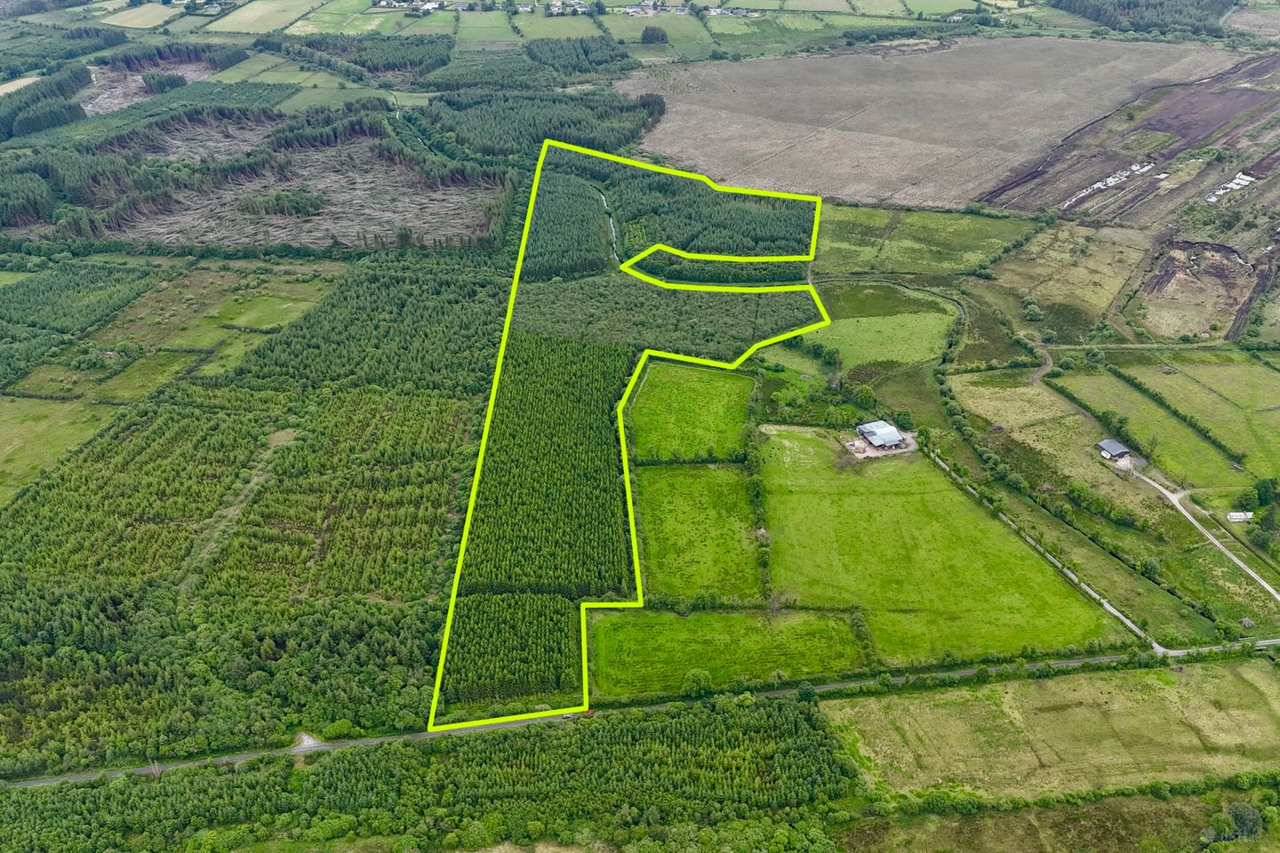 c.31 acres of mature forestry at Ballyglass East, Loughglynn, Co. Roscommon — photo 1