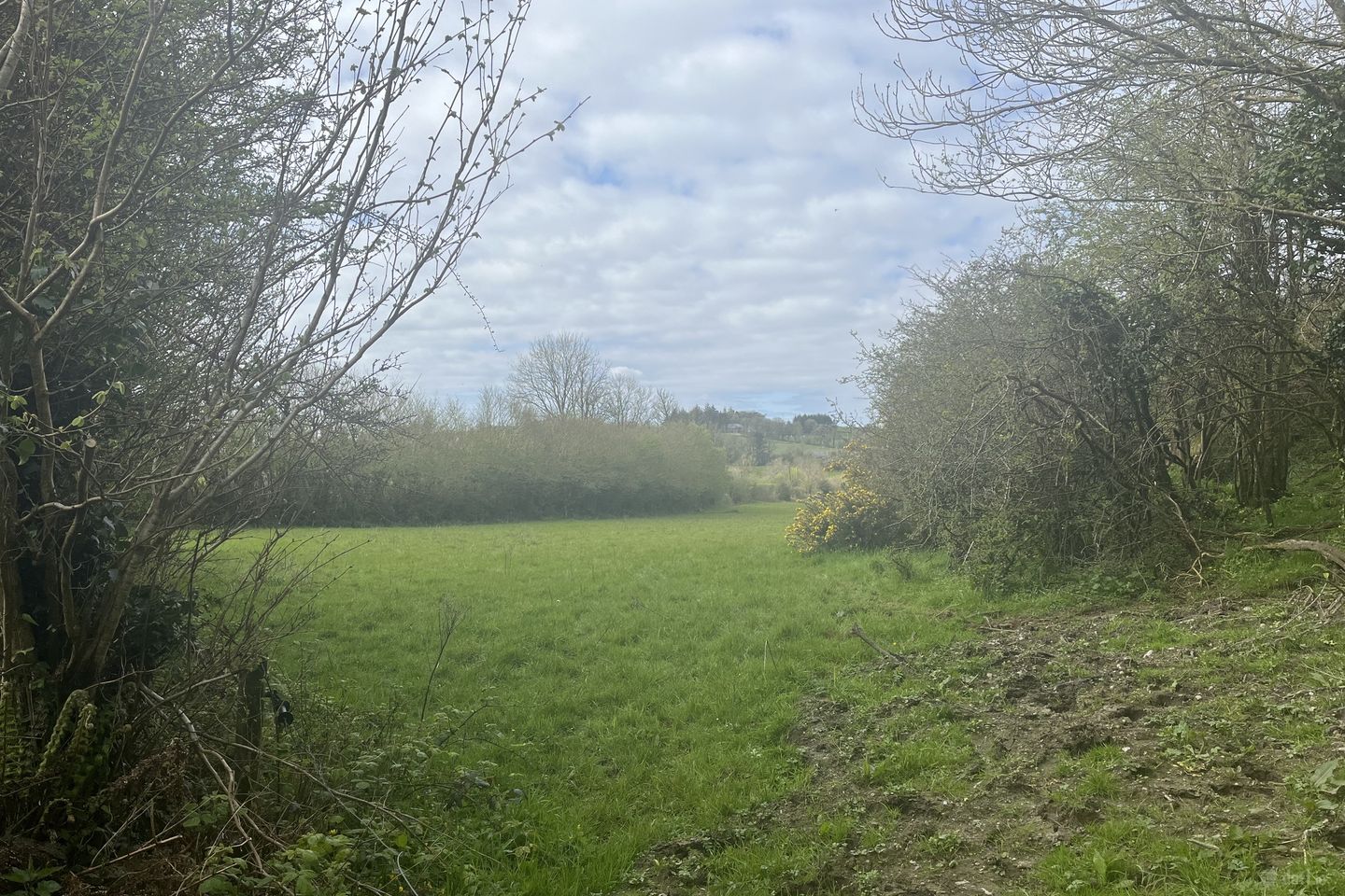 Tullyglass Bandon, Bandon, Co. Cork — photo 1