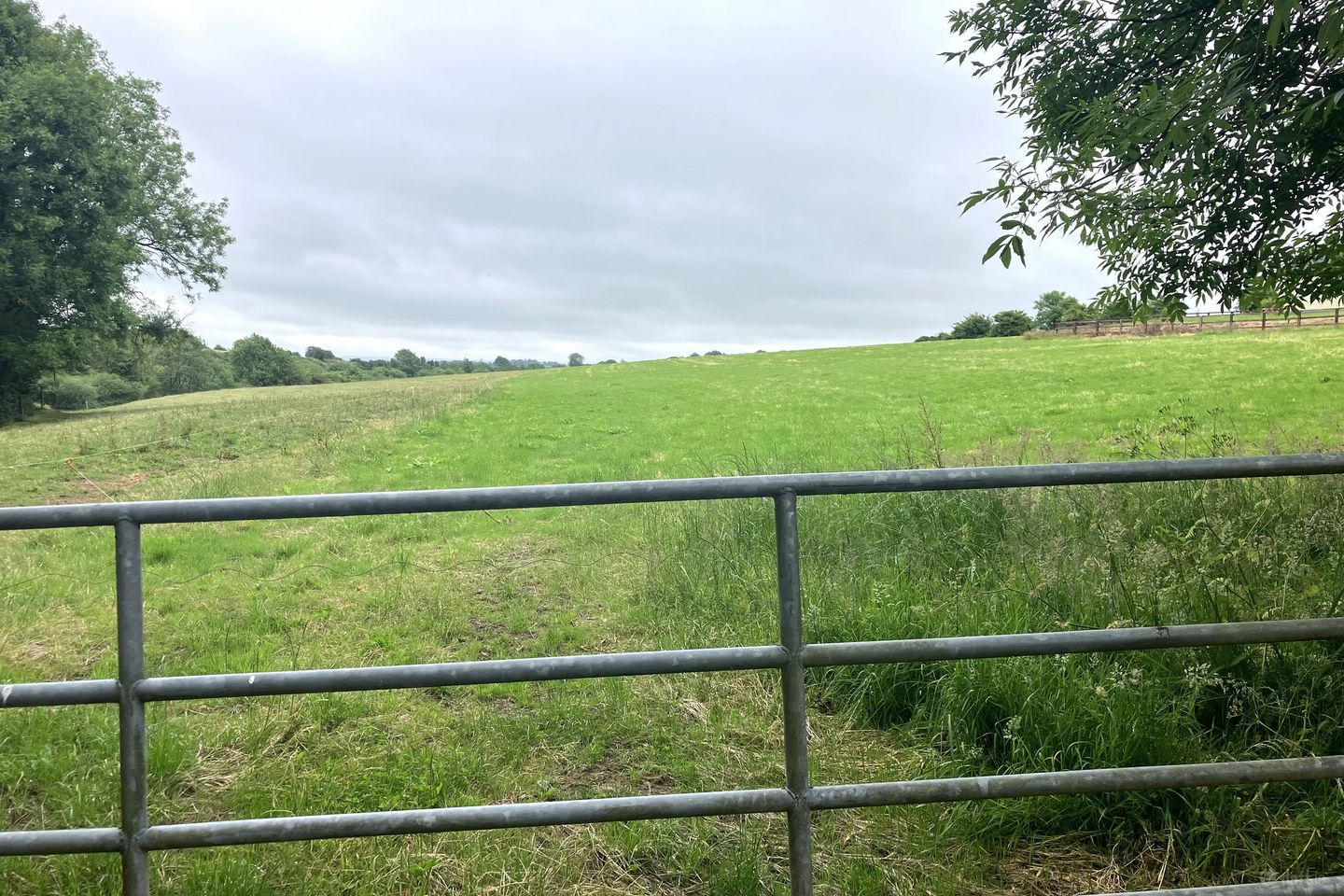 Ballysimon, Dromahane, Mallow, Co. Cork — photo 1