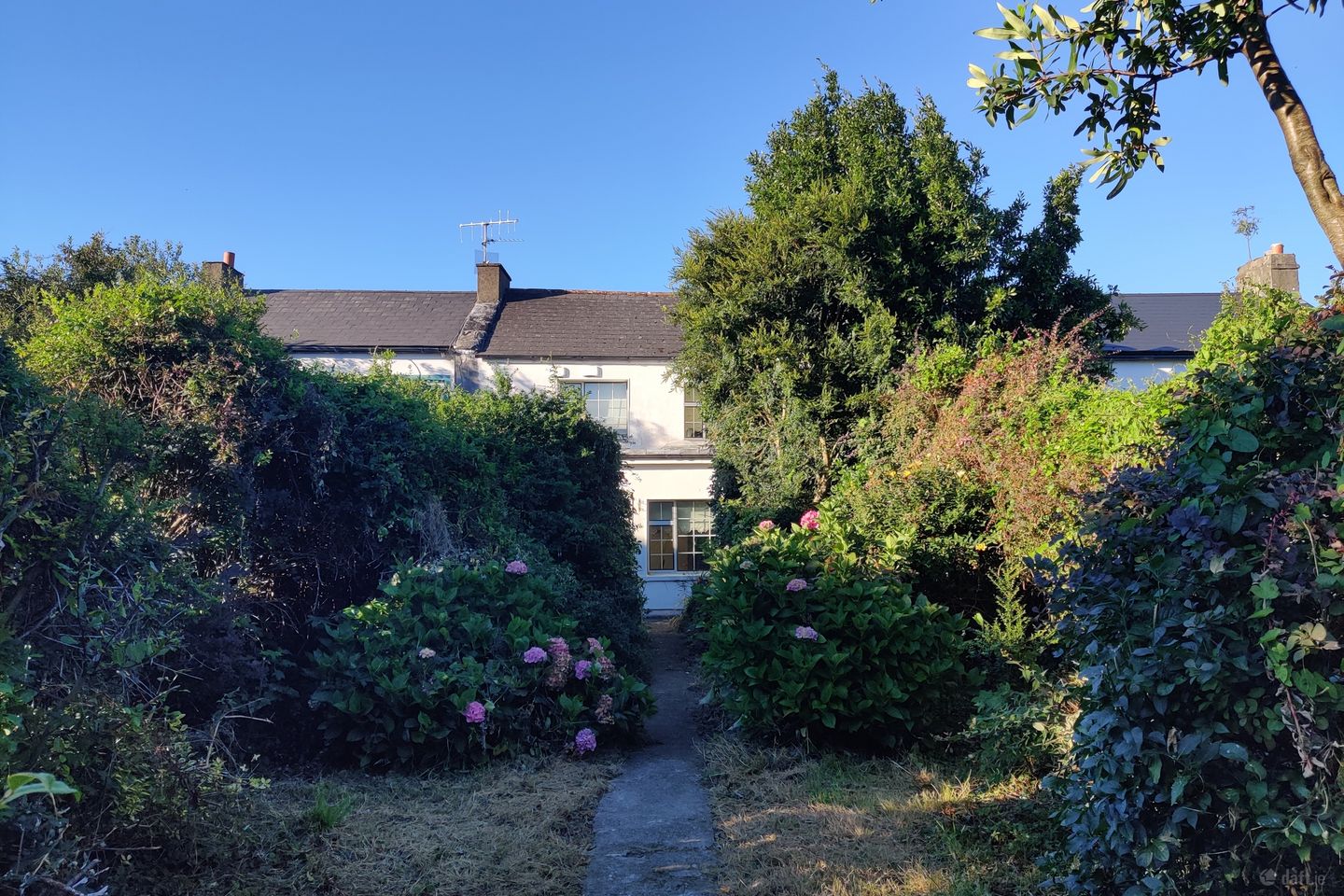 Old Oakview, Oakview Terrace, Tralee, Co. Kerry, V92ANF7 — photo 1