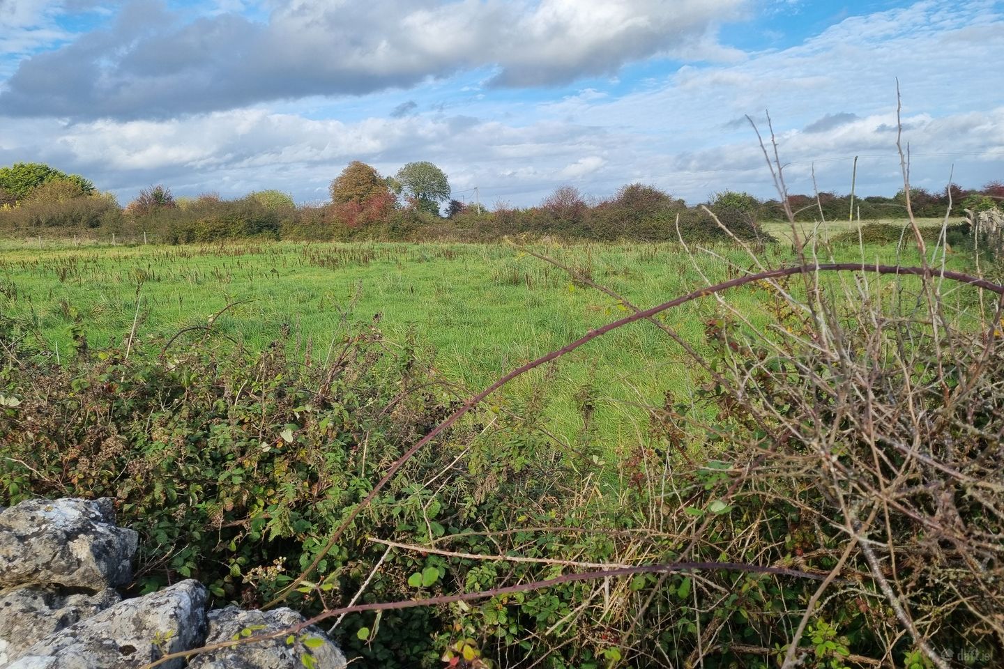 Morenane, Askeaton, Co. Limerick — photo 1