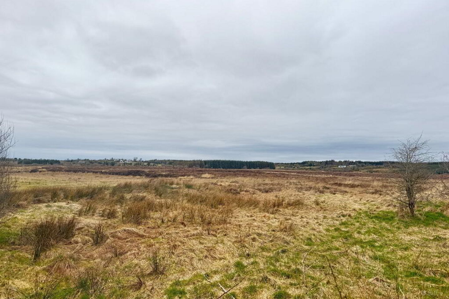 177 Acres Castlerea, Co. Roscommon — photo 1