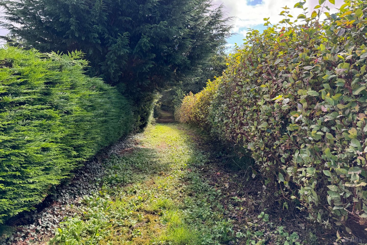 Kilmore, Foxford, Co. Mayo — photo 1