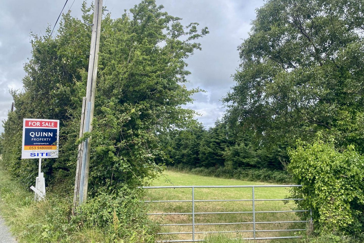 Ballinteskin (C. 0.75 Acre Site), Old Long Hill, Enniskerry, Co. Wicklow — photo 1