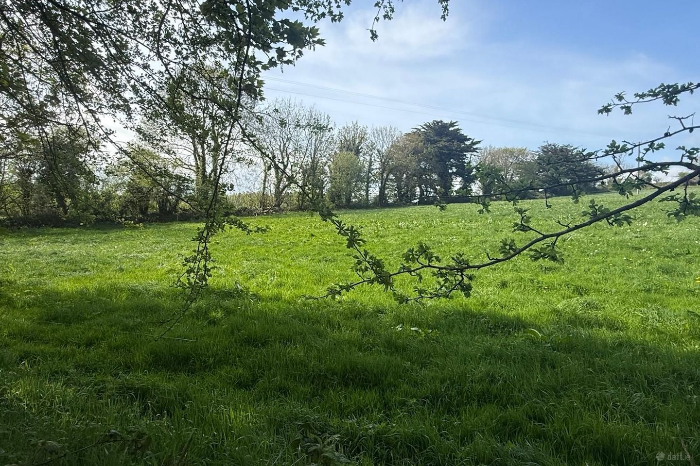 1 Acre site for sale at Oldpark , Bandon, Co. Cork — photo 1
