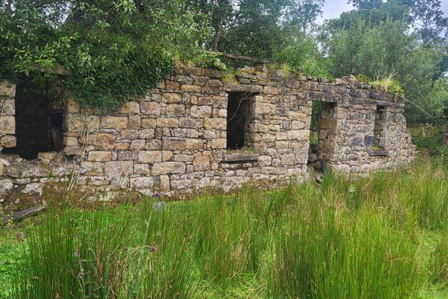 Annagh, Killargue, Co. Leitrim — photo 1
