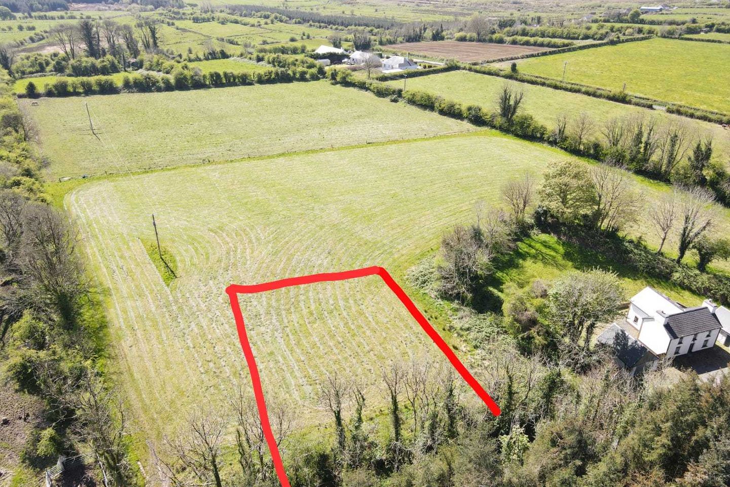  Currsallagh , Lisacul, Co. Roscommon — photo 1